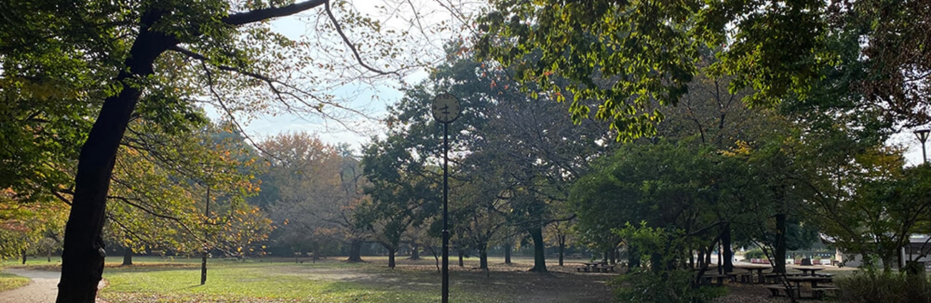 Inokashira königlicher Geschenkpark