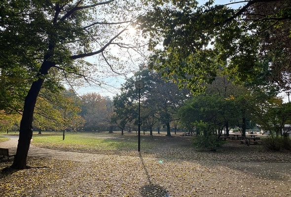 Inokashira königlicher Geschenkpark